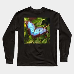 Blue Butterfly Long Sleeve T-Shirt